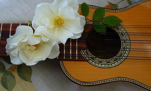 Beispielbild Instrument